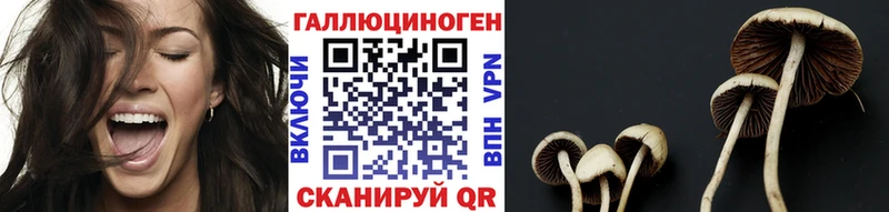 Галлюциногенные грибы Cubensis Николаевск