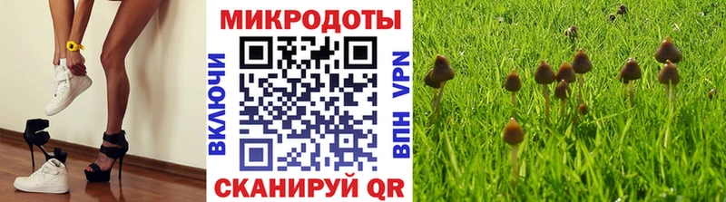 Псилоцибиновые грибы Magic Shrooms  Николаевск 